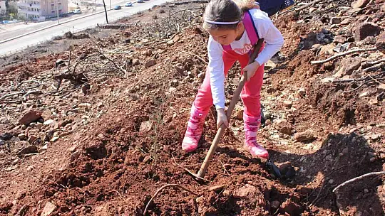 Marmaris'te gönüllüler fidan ve tohum dikimlerine devam ediyor