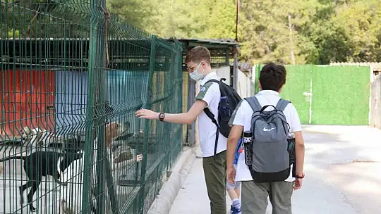 Marmaris'te hayvan barınağı öğrencilerin akınına uğradı