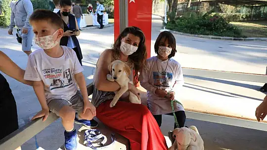 Marmaris'te hayvan barınağı öğrencilerin akınına uğradı