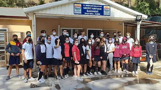Marmaris'te hayvan barınağı öğrencilerin akınına uğradı