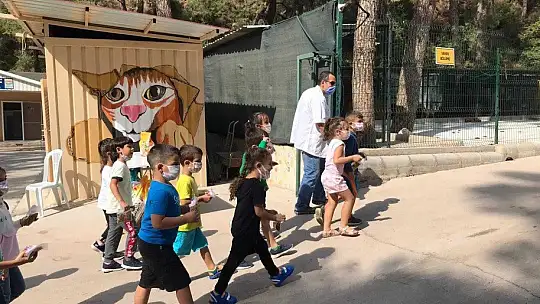 Marmaris'te hayvan barınağı öğrencilerin akınına uğradı
