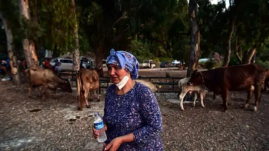 Marmaris'te hayvanlarını canları pahasına korudular