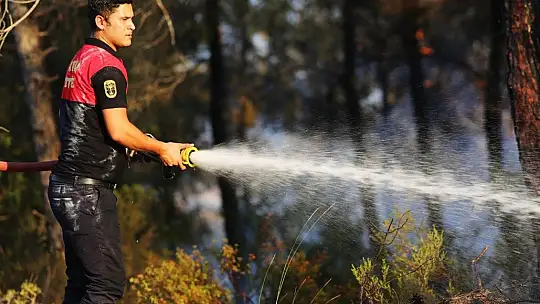 Marmaris'te ilk belirlemelere göre 1 fabrika, 27 ev ve 1 araç yandı