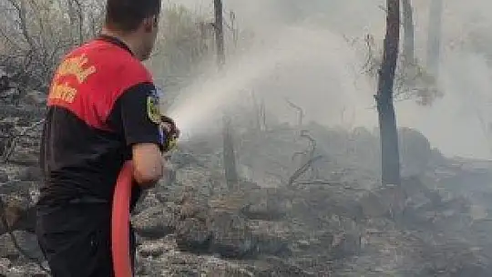 Marmaris'te ilk belirlemelere göre 1 fabrika, 27 ev ve 1 araç yandı