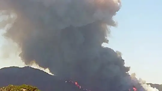 Marmaris'te korkutan yangın