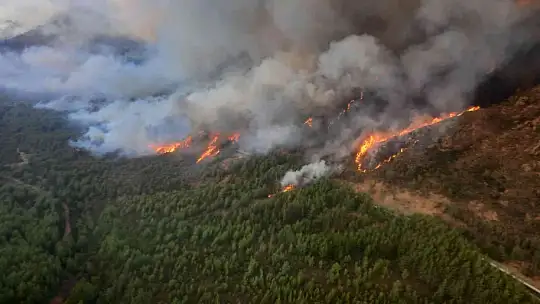 MARMARİS'TE ORMAN YANGININA HAVADAN VE KARADAN MÜDAHALE BAŞLADI