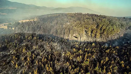 Marmaris'te orman yangınlarına yapılan müdahale helikopterden görüntülendi