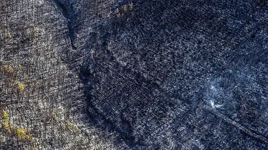 Marmaris'te orman yangınlarına yapılan müdahale helikopterden görüntülendi