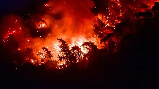 Marmaris'te rüzgarın şiddetiyle büyüyen yangın devam ediyor