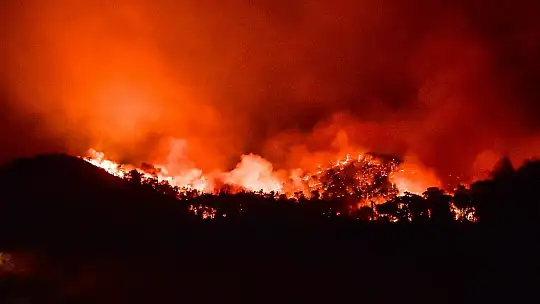 Marmaris'te rüzgarın şiddetiyle büyüyen yangın devam ediyor