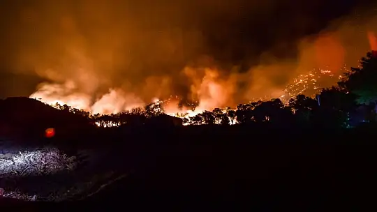 Marmaris'te rüzgarın şiddetiyle büyüyen yangın devam ediyor