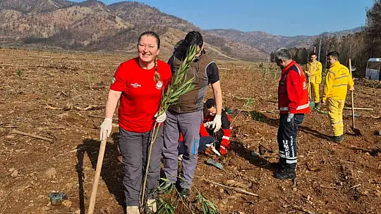 MARMARİS'TE SAĞLIK ÇALIŞANLARI BİN 120 FİDANI TOPRAKLA BULUŞTURDU