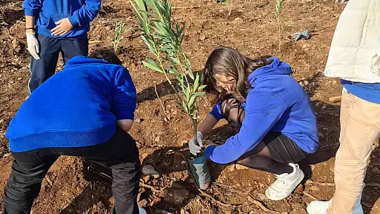 MARMARİS'TE SAĞLIK ÇALIŞANLARI BİN 120 FİDANI TOPRAKLA BULUŞTURDU