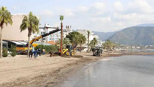 Marmaris'te sahili palmiyeler kaplayacak