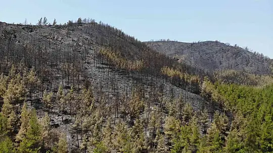 Marmaris'te söndürülen alanlar havadan görüntülendi