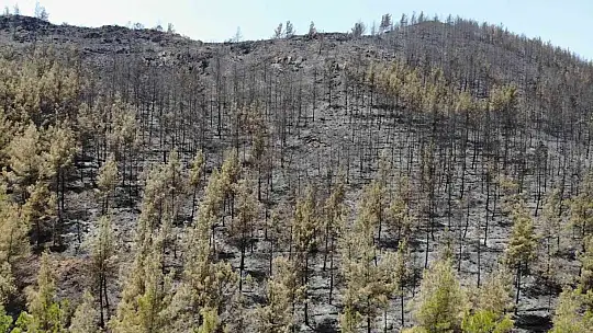 Marmaris'te söndürülen alanlar havadan görüntülendi