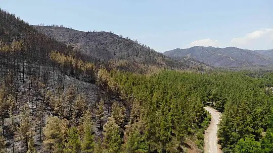 Marmaris'te söndürülen alanlar havadan görüntülendi