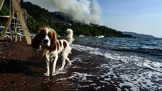Marmaris'te tatil ve yangın bir arada