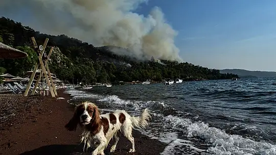 Marmaris'te tatil ve yangın bir arada