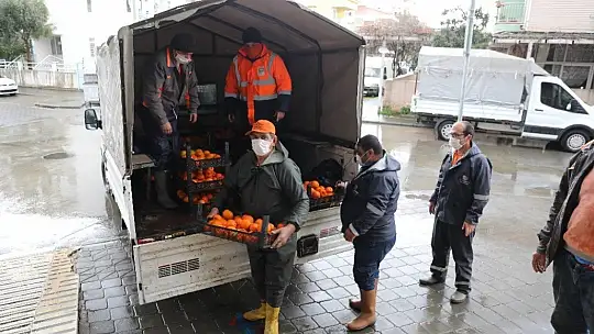 Marmaris'te toplanan turunçlar vatandaşlara dağıtıldı