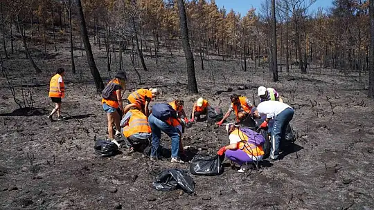 Marmaris'te yanan alanlarda temizlik yapıldı