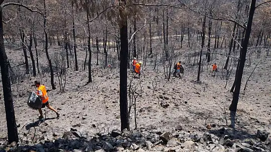 Marmaris'te yanan alanlarda temizlik yapıldı