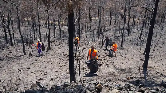 Marmaris'te yanan alanlarda temizlik yapıldı