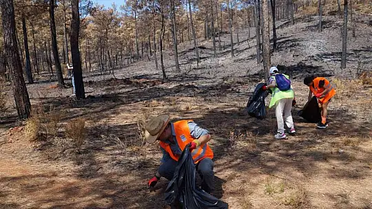 Marmaris'te yanan alanlarda temizlik yapıldı