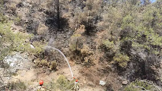 Marmaris'te yanan alanların soğutma çalışmaları devam ediyor