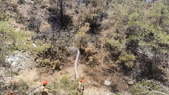 Marmaris'te yanan alanların soğutma çalışmaları devam ediyor