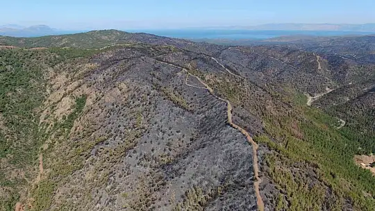 Marmaris'te yanan yerler havadan görüntülendi