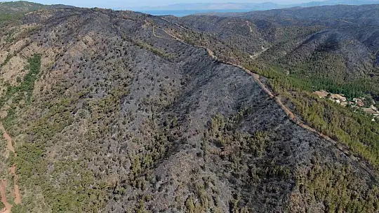 Marmaris'te yanan yerler havadan görüntülendi