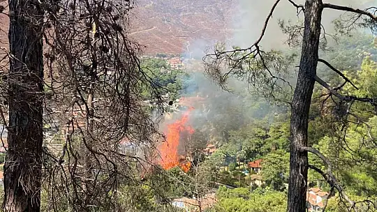 Marmaris'te yangın yıl dönümünde yine orman yangını