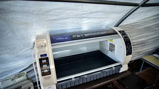 Marmaris'te yangında zarar gören hayvanların tedavisi tamamlandı