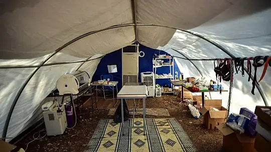 Marmaris'te yangında zarar gören hayvanların tedavisi tamamlandı