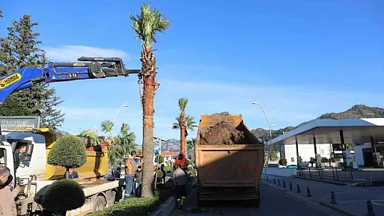 Marmaris'te yeşil alanlar, 600 bin metrekareye çıktı