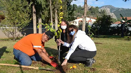 Marmaris'te yeşil alanlar, 600 bin metrekareye çıktı