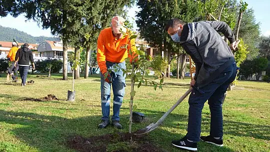 Marmaris'te yeşil alanlar, 600 bin metrekareye çıktı