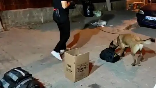 Marmaris'te zeytinyağı kutusundan esrar çıktı