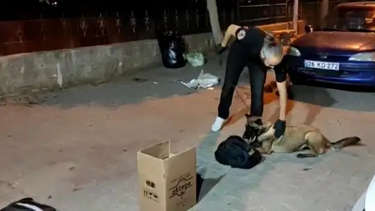 Marmaris'te zeytinyağı kutusundan esrar çıktı