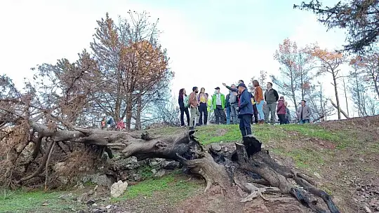 Marmaris'teki çalıştayın katılımcıları yanan sahayı inceledi