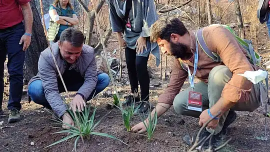 Marmaris'teki çalıştayın katılımcıları yanan sahayı inceledi