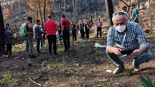 Marmaris'teki çalıştayın katılımcıları yanan sahayı inceledi