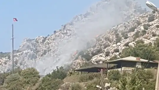 Marmaris'teki orman yangını ile ilgili 1 gözaltı