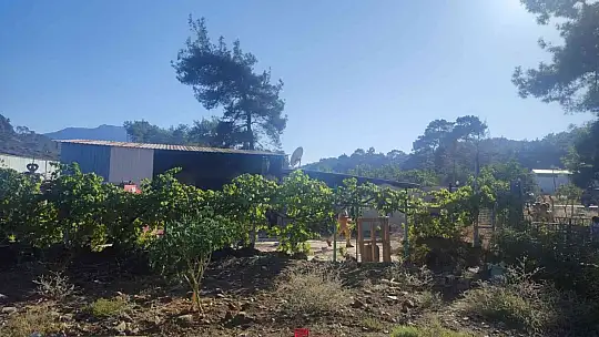 MARMARİS'TEKİ YANGIN ORMANA SIÇRAMADAN KONTROL ALTINA ALINDI