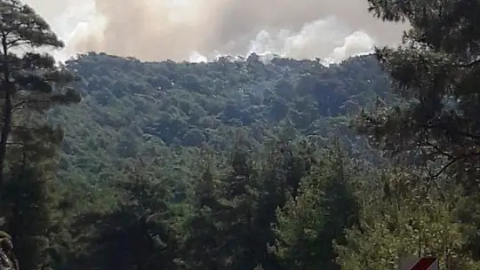 Marmaris'teki yangına 1 uçak 8 helikopterle müdahale ediliyor