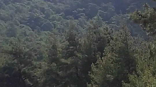 Marmaris'teki yangına 1 uçak 8 helikopterle müdahale ediliyor