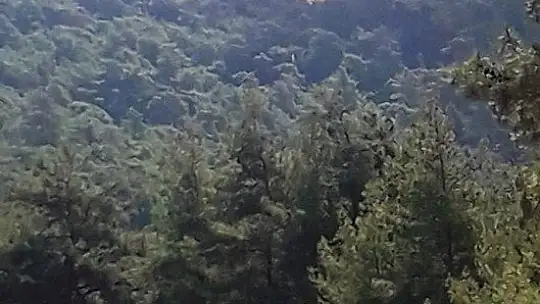 Marmaris'teki yangına 1 uçak 8 helikopterle müdahale ediliyor