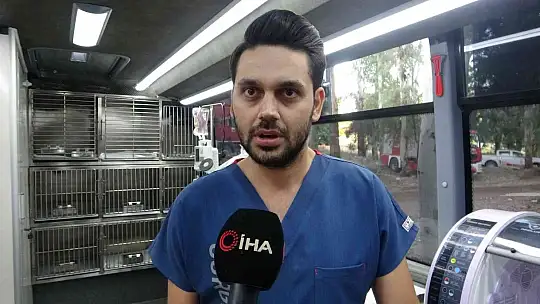 Marmaris'teki yangında dumandan zehirlenen kaplumbağa kurtarıldı