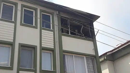 Marmaris'teki yangında iki ev zarar gördü